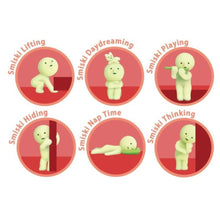 Carica l'immagine nel visualizzatore di Gallery, SMISKI LIVING SERIES BLIND BOX