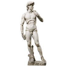 Carica l'immagine nel visualizzatore di Gallery, THE TABLE MUSEUM DAVID FIGMA FIGURE