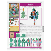 Load image into Gallery viewer, THE TOYS OF HE-MAN AND THE MASTERS OF THE UNIVERSE