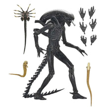 Carica l'immagine nel visualizzatore di Gallery, ALIEN ROMULUS ULTIMATE XENOMORPH XX121 ACTION FIGURE

