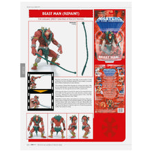 Load image into Gallery viewer, THE TOYS OF HE-MAN AND THE MASTERS OF THE UNIVERSE
