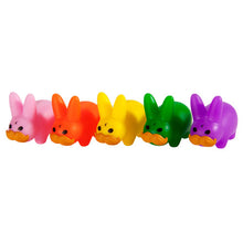 Carica l'immagine nel visualizzatore di Gallery, MINI STACHE LABBIT PRIDE 5-PACK
