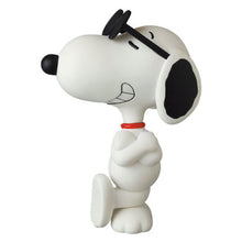 Load image into Gallery viewer, VCD PEANUTS SNOOPY SUNGLASSES 1971 VERSION
