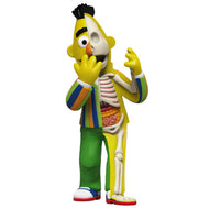 XXRAY PLUS SESAME STREET BERT