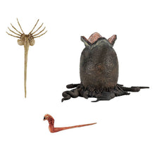 Carica l&#39;immagine nel visualizzatore di Gallery, ALIEN 1979 40TH ANNIVERSARY 9-INCH BIG CHAP ACTION FIGURE
