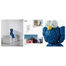 Carica l'immagine nel visualizzatore di Gallery, KAWS HE EATS ALONE
