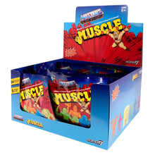Load image into Gallery viewer, MUSCLE MASTERS OF THE UNIVERSE BLIND BAG
