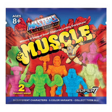 Load image into Gallery viewer, MUSCLE MASTERS OF THE UNIVERSE BLIND BAG
